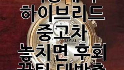 시흥에서 하이브리드 중고차 🚗 놓치면 후회! 꿀팁 대방출 ✨