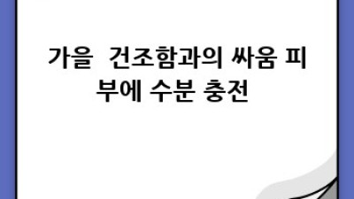 피부고민? 놉! 🙅‍♀️ 계절별 피부타입별관리로 꿀피부🍯 만들기!