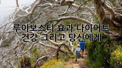루이보스티 효과: 다이어트, 건강, 그리고 당신에게
